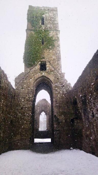 Riverside Cabin Limerick Junction Exterior foto